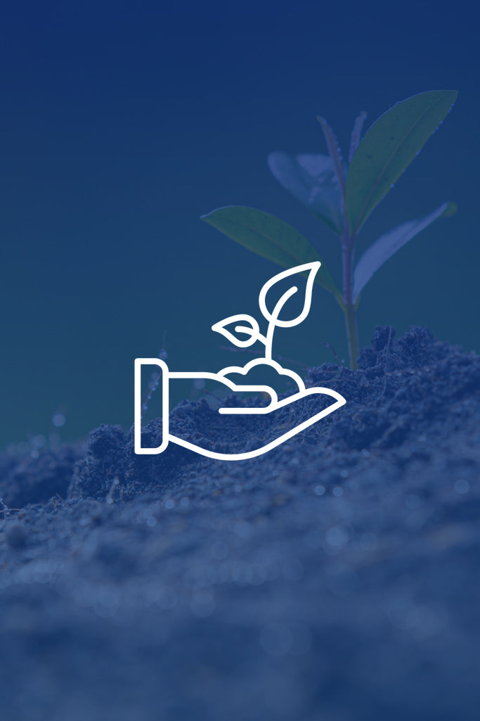 Professional Environment Website Development