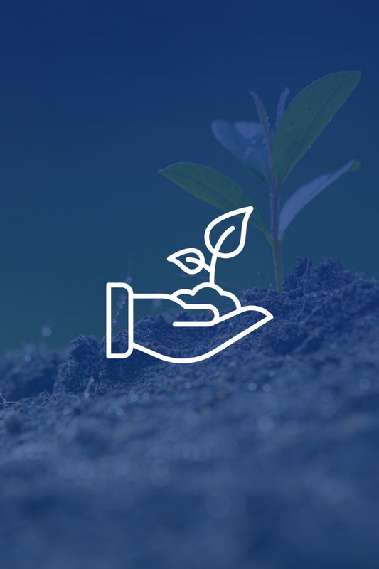 Professional Environment Website Development